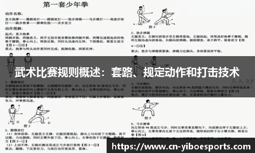 武术比赛规则概述：套路、规定动作和打击技术
